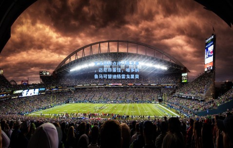 开云app|尤文旧将点评门将之争，迈尼昂虽佳，唯多纳鲁马可替迪格雷戈里奥