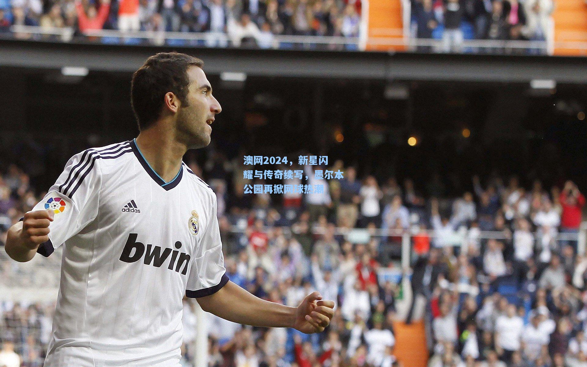 澳网2024，新星闪耀与传奇续写，墨尔本公园再掀网球热潮