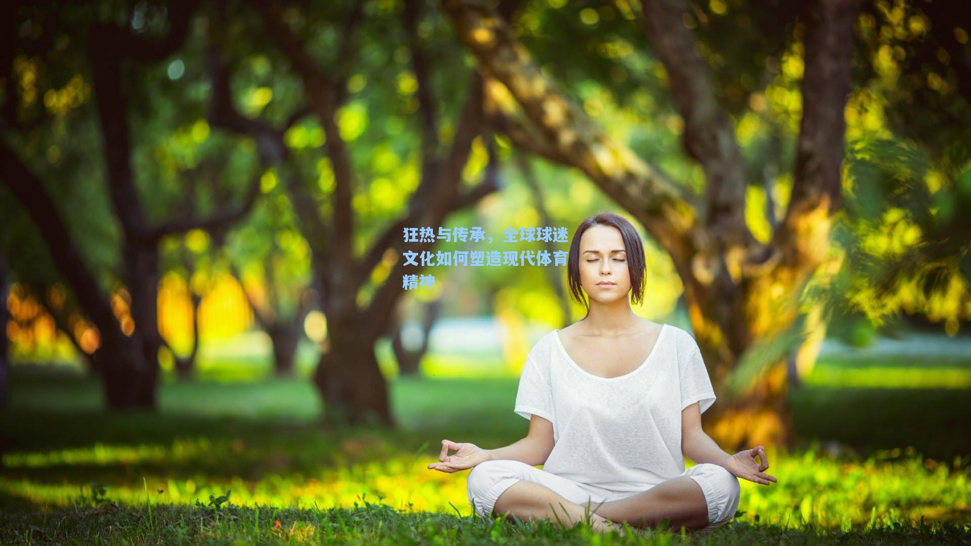 狂热与传承，全球球迷文化如何塑造现代体育精神