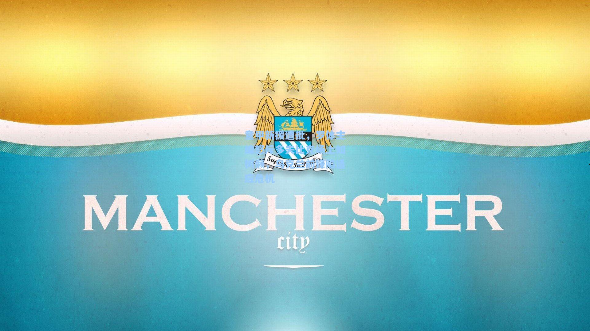 意甲新援遭批，罗体主编怒斥多夫比克场上如树懒，乌克兰前锋陷适应危机